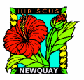 Beautiful Newquay Hotels
