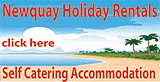 Newquay Holiday Rentals